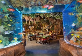 Restaurante Rainforest Cafe Orlando 4