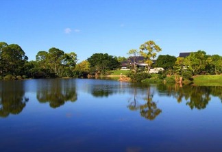 O que fazer em Boca Raton: Morikami Museum and Japanese Gardens