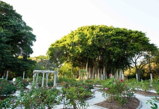 Pontos turísticos em Sarasota: The Ringling Garden