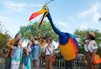 Encontre Kevin de "Up! Altas Aventuras" no Disney's Animal Kingdom em Orlando