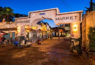 Circle of Flavors: Harambe at Night no Animal Kingdom da Disney Orlando: Harambe Market