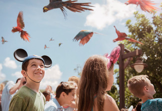 Party for the Planet no Animal Kingdom da Disney Orlando em 2019