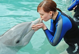 Nadar com golfinhos no Miami Seaquarium: interação com golfinho