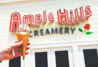 Sorveteria Ample Hills Creamery na Disney Orlando