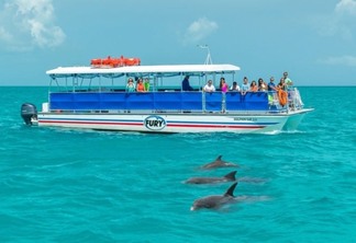 Passeio de barco para ver golfinhos em Key West