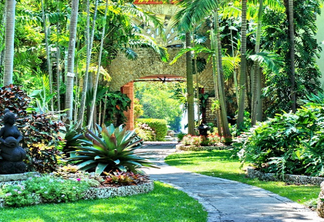 Fairchild Tropical Botanic Garden em Coral Gables