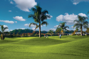 7 lugares para se hospedar perto da natureza em Orlando: Clerbrook Golf & RV Resort