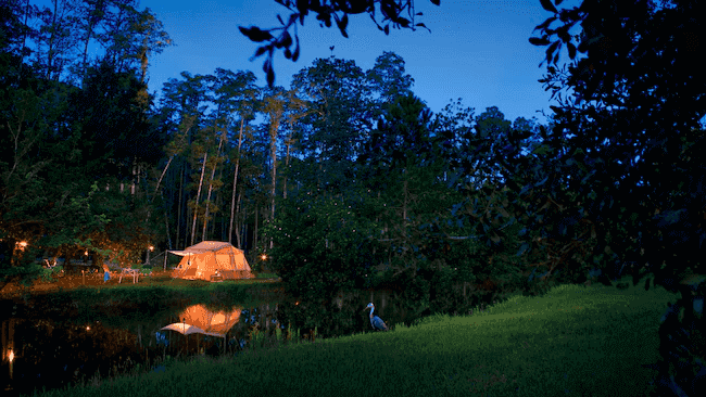 The Campsites e Cabins no Disney's Fort Wilderness Resort