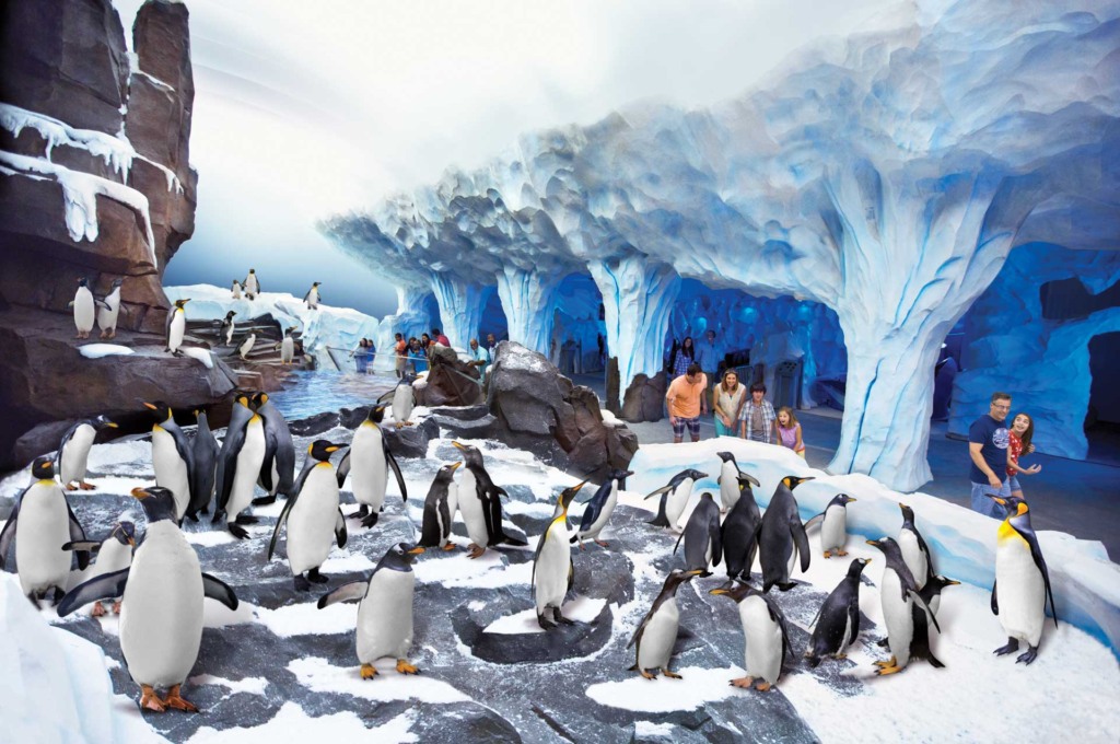 Parque SeaWorld em Orlando: Antarctica: Empire of the Penguin