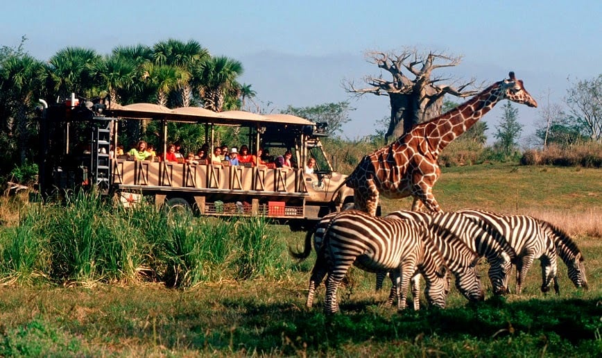 Kilimanjaro Safaris no Animal Kingdom da Disney Orlando