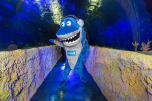 Aquário Sea Life em Orlando: atrações