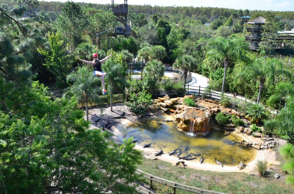 Parque dos Jacarés Gatorland em Orlando