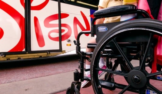 7 dicas para idosos e portadores de deficiência em Orlando: cadeira de rodas nos parques da Disney