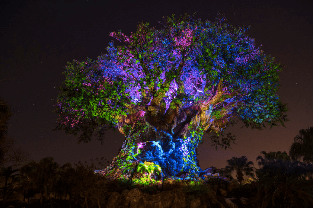 Árvore da Vida no Rivers of Light no Animal Kingdom da Disney Orlando