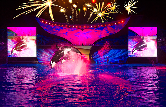 Orlando e Disney no mês de julho: Summer Nights no SeaWorld