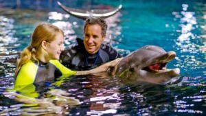 Onde nadar com golfinhos em Orlando: Epcot Seas Adventures – Dolphins in Depth