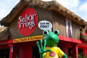 International Drive em Orlando: Señor Frogs