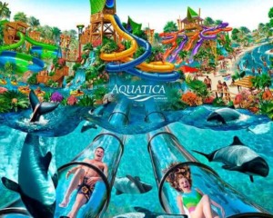 7 lugares para se refrescar em Orlando: Parque Aquatica