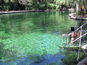 7 parques e reservas naturais em Orlando: Reserva natural Wekiwa Springs State Park