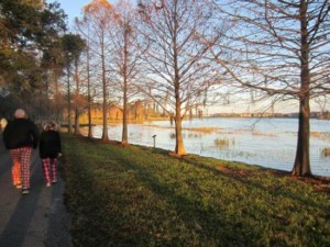  7 parques e reservas naturais em Orlando: Parque Bill Frederick Park at Turkey Lake