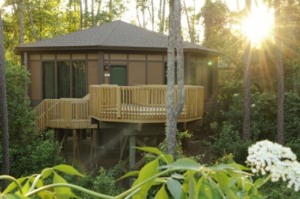 7 lugares para se hospedar perto da natureza em Orlando: Disney's Saratoga Springs Resort & Spa