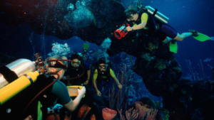 Mergulho no Epcot na Disney Orlando: DiveQuest