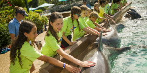 7 passeios pelos bastidores em Orlando: SeaWorld Adventure Camp