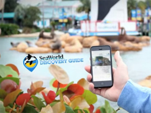 Aplicativo do SeaWorld Discovery Guide em Orlando