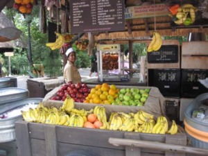 Harambe Fruit Market no parque Disney Animal kingdom