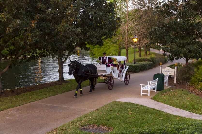 Passeio de carruagem no Disney Port Orleans Resort - Riverside em Orlando