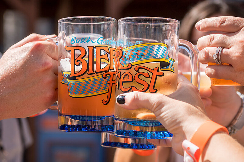 Brinde com cerveja artesanal no Bier Fest no Busch Gardens Tampa Bay