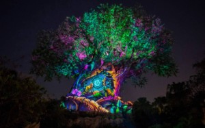 O Rei Leão no Animal Kingdom da Disney Orlando: show de projeções na Árvore da Vida