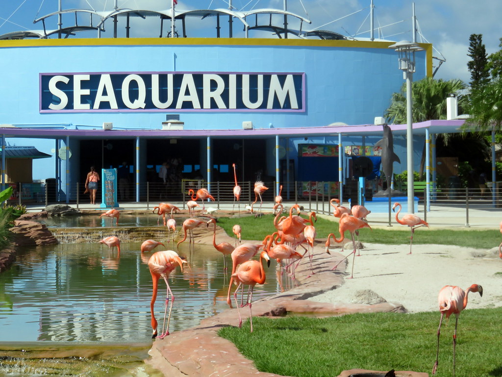 Aquário Miami Seaquarium