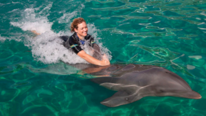 Nadar com golfinhos no Miami Seaquarium: Dolphin Odyssey