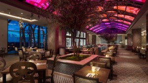 Restaurante Toledo – Tapas, Steak & Seafood na Disney Orlando: interior