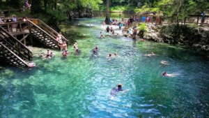 Blue Spring State Park próximo a Orlando: visitantes