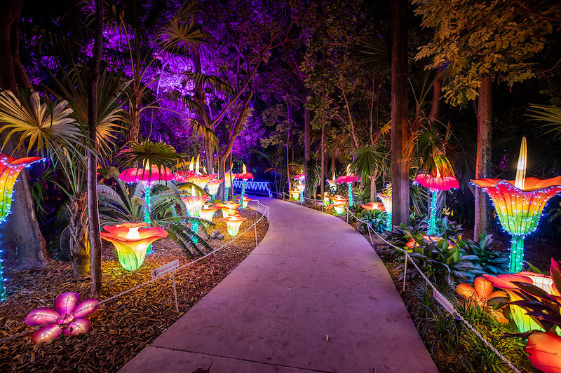 Festival Luminosa no Jungle Island em Miami
