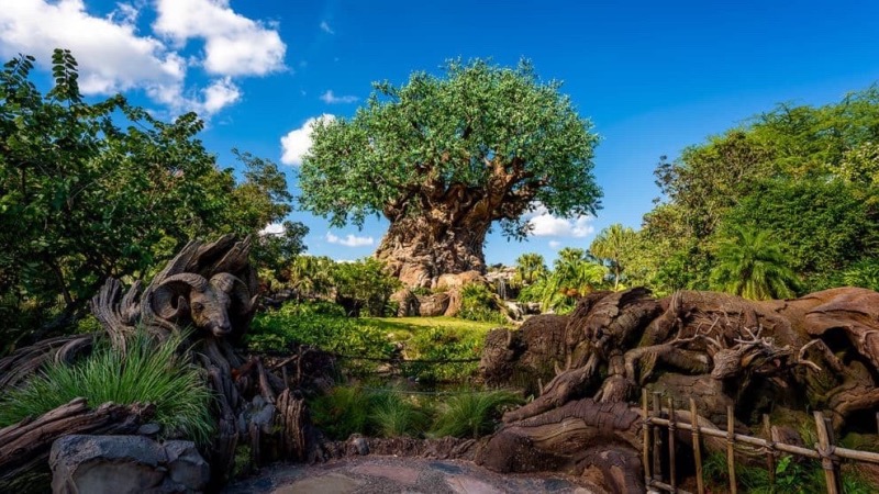 Animais e Árvore da Vida no Animal Kingdom da Disney Orlando