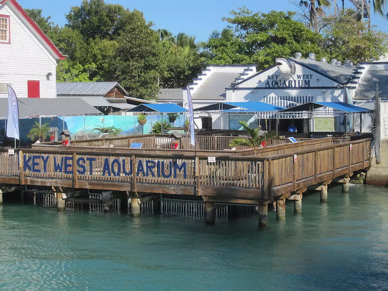 Área do Key West Aquarium