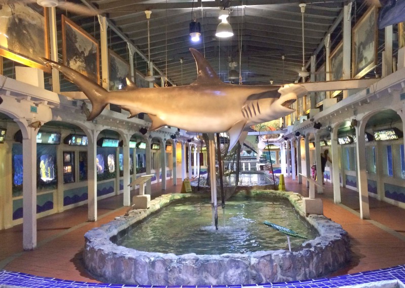 Interior do Key West Aquarium