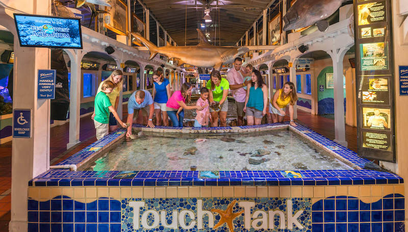 Touch Tank (Tanque de Toque) no Key West Aquarium