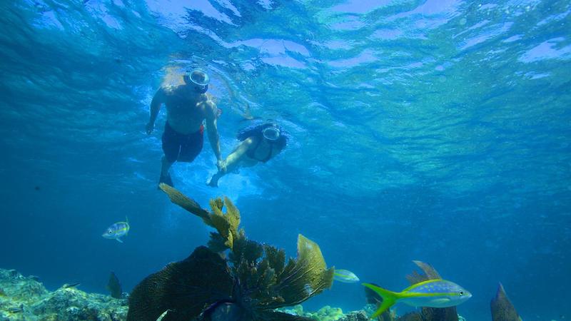 Casal mergulhando com snorkel no recife de Key West