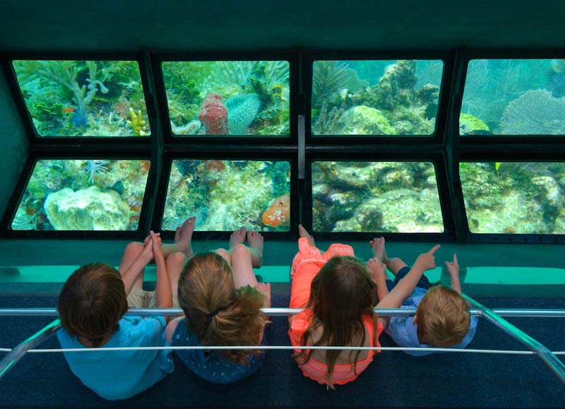 Crianças observando o fundo do mar no passeio de barco em Key West