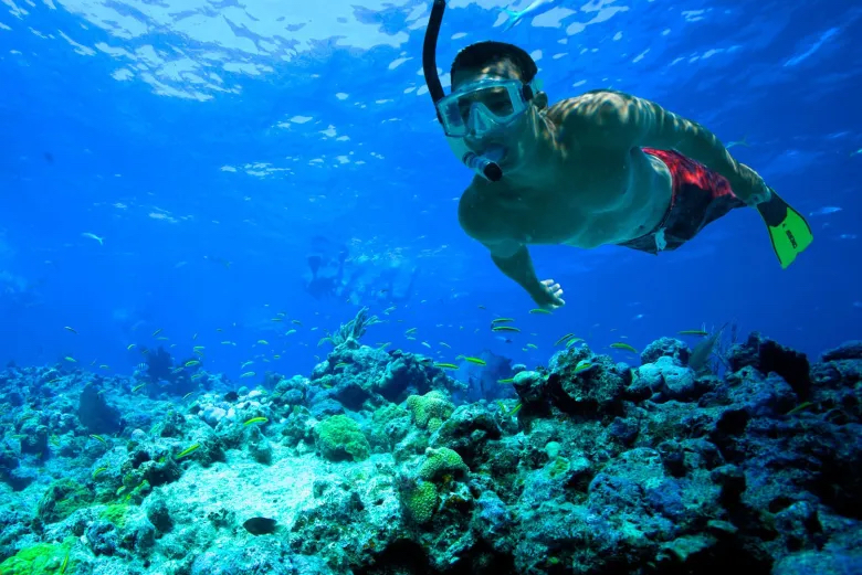 Mergulhando com snorkel em Key West